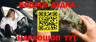 гашик Будённовск