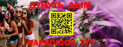 гашик Будённовск