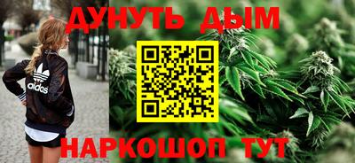 гашик Будённовск