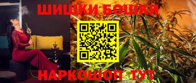 гашик Будённовск