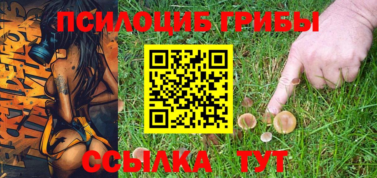 Псилоцибиновые грибы GOLDEN TEACHER  Галлюциногенные грибы прущие грибы  Чехов  Вход с VPN 